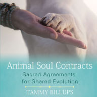 Animal Soul Contracts: Sacred Agreements for Shared Evolution