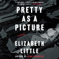 Pretty as a Picture: A Novel