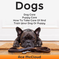 Dogs: Dog Care: Puppy Care: How To Take Care Of And Train Your Dog Or Puppy