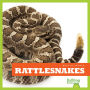 Rattlesnakes