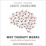 Why Therapy Works: Using Our Minds to Change Our Brains