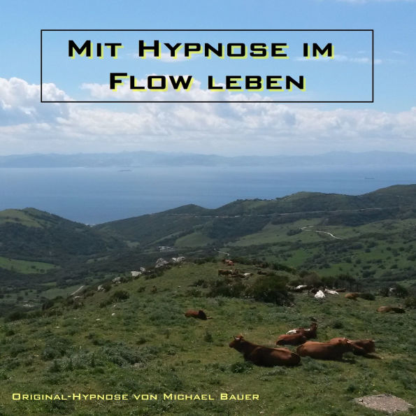 Mit Hypnose im Flow leben: Das Unterbewusstsein anleiten, im Flow zu leben