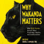 Why Wakanda Matters: What Black Panther Reveals About Psychology, Identity, and Communication