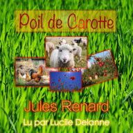 Poil de Carotte