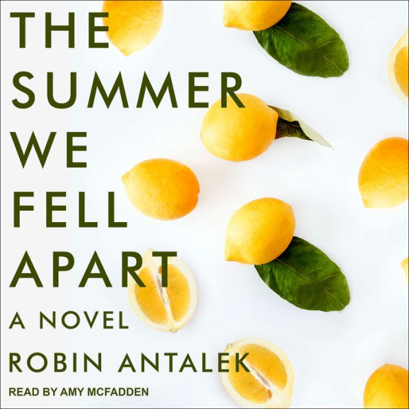 The Summer We Fell Apart: A Novel