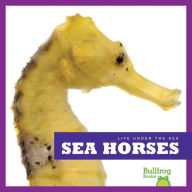 Sea Horses