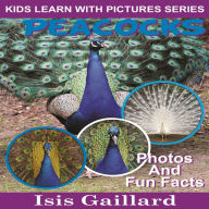 Peacocks: Photos and Fun Facts for Kids