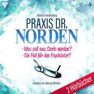 Praxis Dr. Norden 2 Hörbücher Nr. 4 - Arztroman: Was soll aus Carlo werden? - Ein Fall für den Psychiater? (Abridged)
