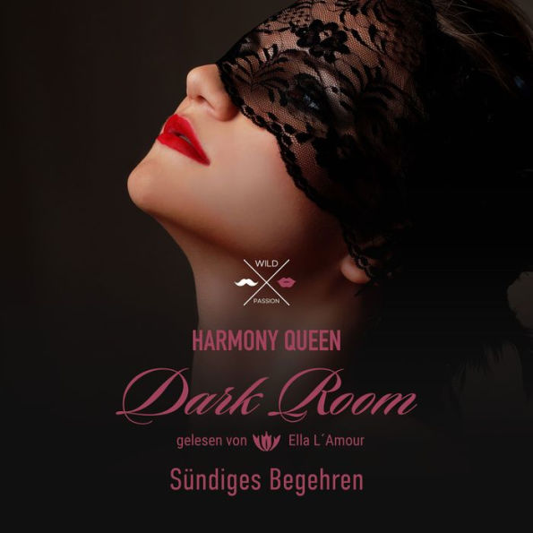 Sündiges Begehren - Dark Room, Band 2 (ungekürzt)