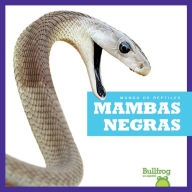 Mambas negras