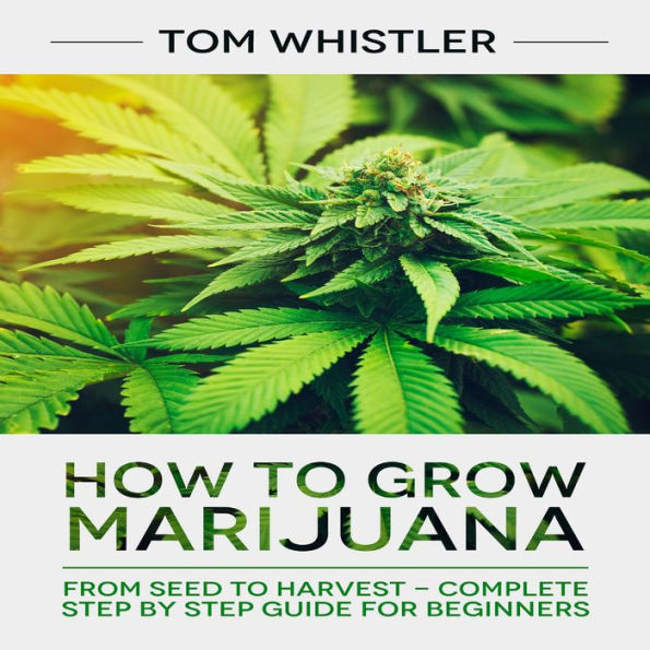 How to Grow Marijuana: From Seed to Harvest - Complete Step by Step Guide for Beginners