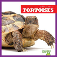 Tortoises