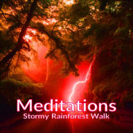 Meditations - Stormy Rainforest Walk