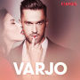 Varjo - eroottinen novelli