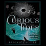 Curious Tides