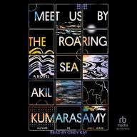 Meet Us by the Roaring Sea: A Novel