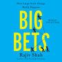 Big Bets: How Large-Scale Change Really Happens