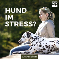 Hund im Stress? Entspannter Hund - Entspannter Alltag