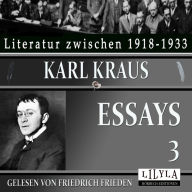 Essays 3: Endlich, der kleine Brockhaus, Druckfehlerteufel, Werkstatt, Erstens und Zweitens u.a.