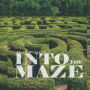 Into the Maze