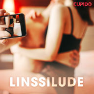 Linssilude