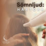 Sömnljud:: Hårtork