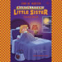 Karen's Ghost (Baby-Sitters Little Sister #12)