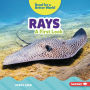 Rays: A First Look