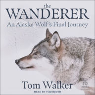 The Wanderer: An Alaska Wolf's Final Journey