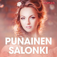 Punainen salonki - erootinen novelli