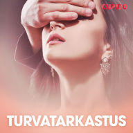 Turvatarkastus