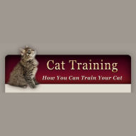 How to Train Your Cat: Learn the basic training your cat needs