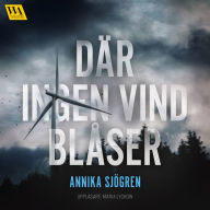 Där ingen vind blåser