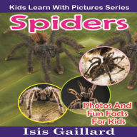 Spiders: Photos and Fun Facts for Kids