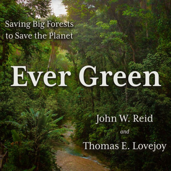 Ever Green: Saving Big Forests to Save the Planet