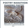 A Poetry Marathon: Day 1 - Day 7 Pandemic Poetrey