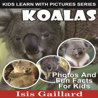 Koalas: Photos and Fun Facts for Kids