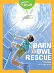 Barn Owl Rescue