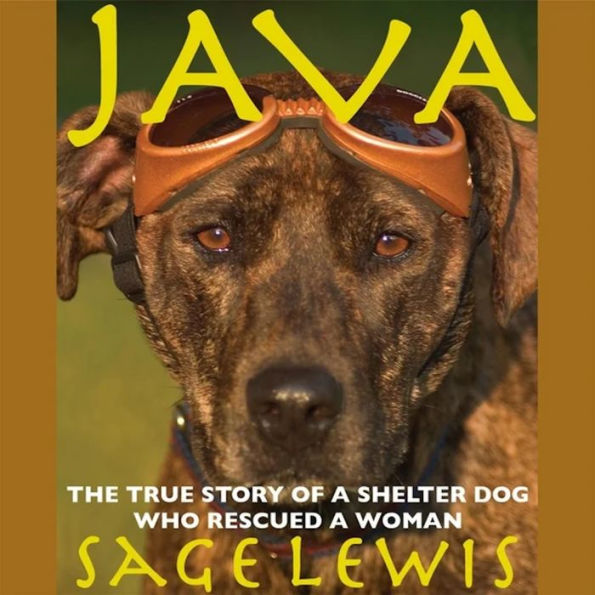 Java: The True Story of a Shelter Dog Who Rescued a Woman