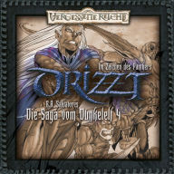 DRIZZT, Folge 4: Im Zeichen des Panthers