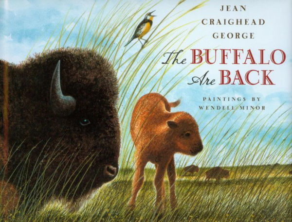 The Buffalo are Back