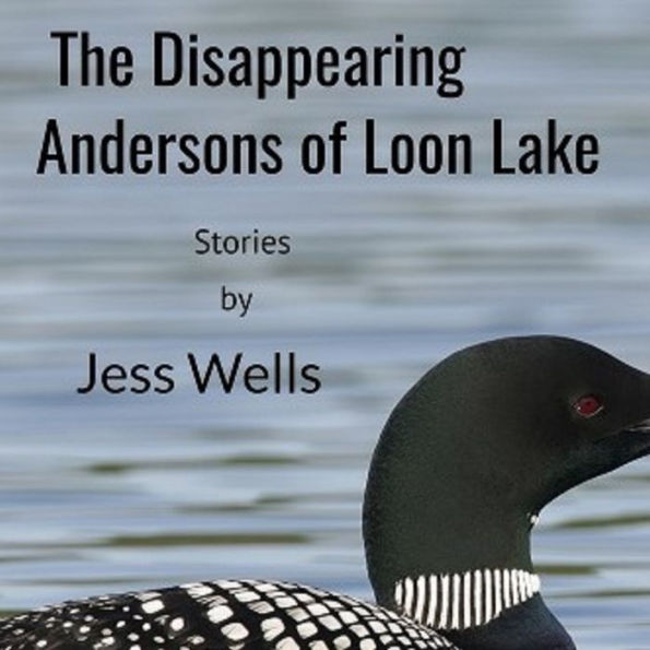 The Disappearing Andersons of Loon Lake