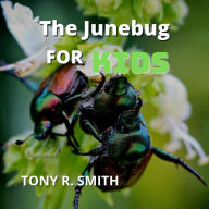 The Junebug for Kids