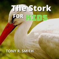 The Stork for Kids