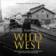 Mining Towns in the Wild West: The History of the Construction and Abandonment of the Frontier's Most Famous Sites