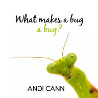 What Makes a Bug a Bug?