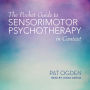 The Pocket Guide to Sensorimotor Psychotherapy in Context