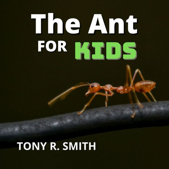 The Ant for Kids