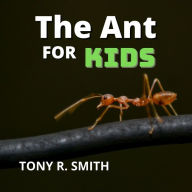The Ant for Kids