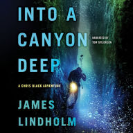 Into A Canyon Deep: A Chris Black Adventure